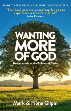 Wanting More of God: How to Attain to the Fullness of Christ