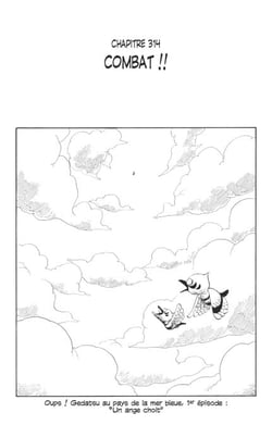One Piece édition originale - Chapitre 314 - Combat !!
