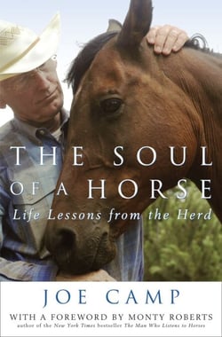 The Soul of a Horse - Life Lessons from the Herd