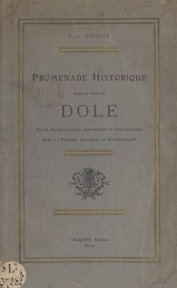 Promenade historique dans la ville de Dole - Courtes notes archéologiques, artistiques et anecdotiques sur les édifices publics et les maisons particulières