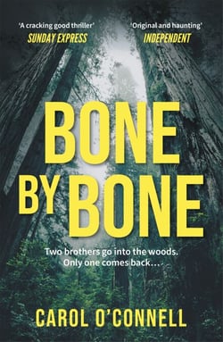 Bone by Bone - a gripping who-dunnit with a twist you don't see coming
