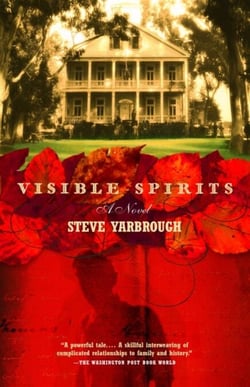 Visible Spirits - A Novel