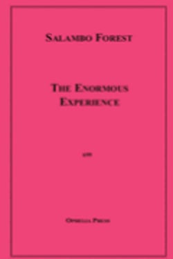 The Enormous Experience