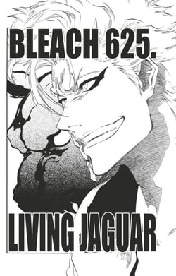 Bleach - T69 - Chapitre 625 - LIVING JAGUAR