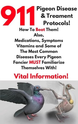 911 Pigeon Disease &amp; Treatment Protocols!