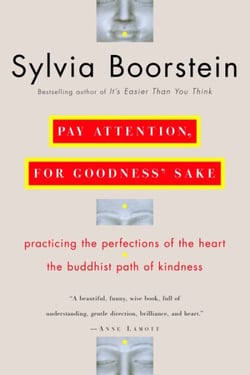 Pay Attention, for Goodness' Sake - Practicing the Perfections of the Heart--The Buddhist Path of Kindness