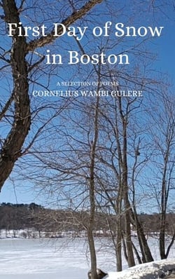 First Day of Snow in Boston