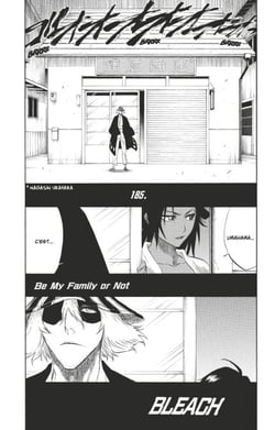 Bleach - T21 - Chapitre 185 - Be My Family or Not