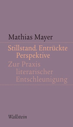 Stillstand. Entrückte Perspektive - Zur Praxis literarischer Entschleunigung
