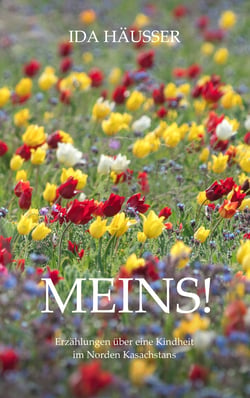 Meins! - Erzählungen über eine Kindheit im Norden Kasachstans