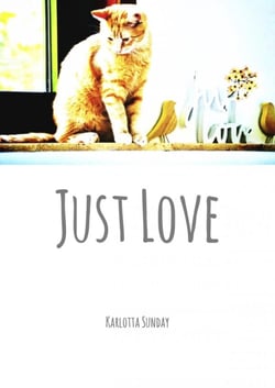 Just Love - Wise Friends