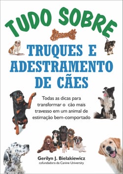 Tudo sobre truques e adestramento de cães - Todas as dicas para transformar o cão mais travesso em um animal de estimação bem-comportado