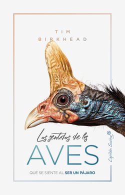 Los sentidos de las aves - Qué se siente al ser un pájaro