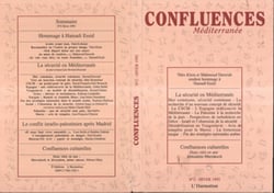 La sécurité en Méditerranée - Hommage à Hamadi Essid