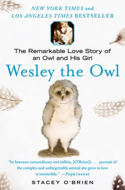 Wesley the Owl - The Remarkable Love Story of an Owl and His Girl
