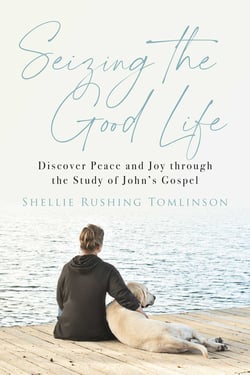 Seizing the Good Life - Discover Peace and Joy through the Study of John's Gospel