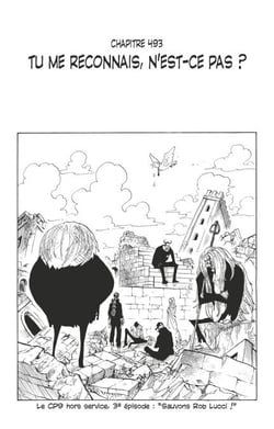 One Piece édition originale - Chapitre 493 - Tu me reconnais, n'est-ce pas ?