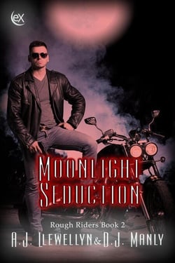 Moonlight Seduction - Rough Riders, #2