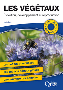 Les végétaux - Évolution, développement et reproduction