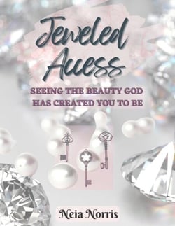 Jeweled Access - Jeweled Access, #1