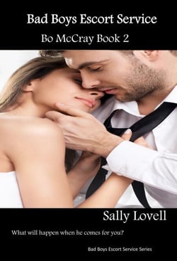 Bad Boys Escort Service Bo McCray Book 2 - Bad Boys Escort Service Series, #2