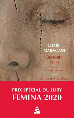 Beyrouth 2020. Journal d'un effondrement - suivi de Cette routine du désastre. Beyrouth, été 2021, journal intermittent