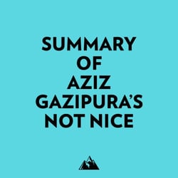 Summary of Aziz Gazipura's Not Nice
