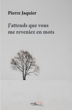 J'attends que vous me reveniez en mots