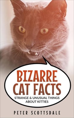 Bizarre Cat Facts: Strange &amp; Unusual Things About Kitties - Our Bizarre Cats Series, #1