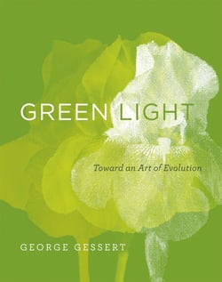 Green Light - Toward an Art of Evolution