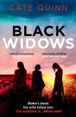 Black Widows - The atmospheric and addictive Mormon murder mystery