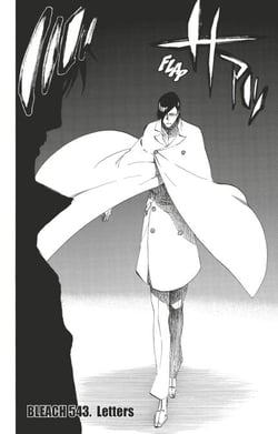 Bleach - T61 - Chapitre 543 - LETTERS