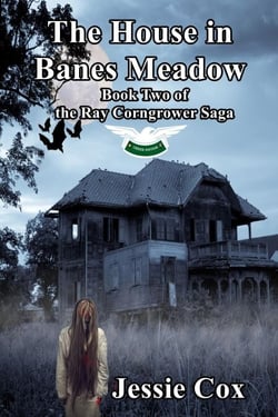 The House In Banes Meadow - Ray Corngrow Saga, #2