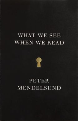 What We See When We Read