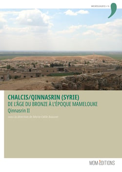 Chalcis/Qinnasrin (Syrie) - De l’âge du Bronze à l’époque mamelouke. Qinnasrin II