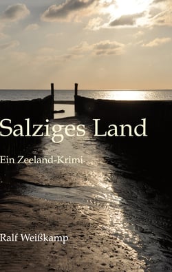 Salziges Land - Ein Zeeland-Krimi