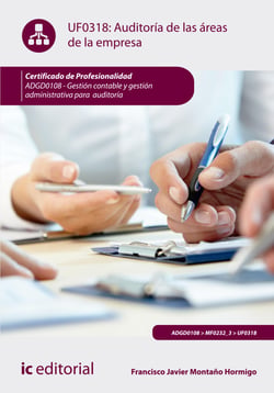 Auditoría de las áreas de la empresa. ADGD0108