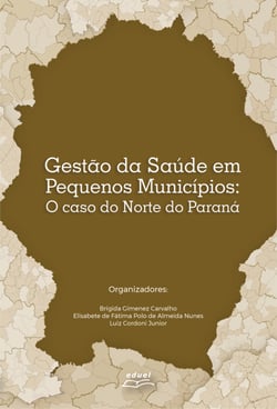 Gestão da saúde em pequenos municípios - o caso do norte do Paraná