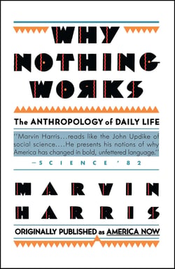 Why Nothing Works - The Anthropology of Daily Life