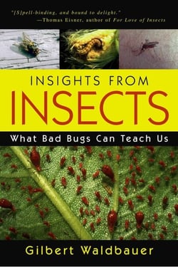 Insights From Insects - What Bad Bugs Can Teach Us
