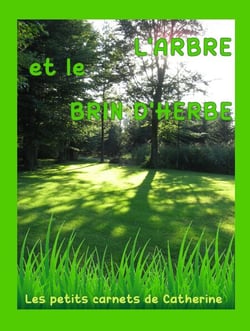 L'ARBRE et le BRIN D'HERBE (Conte pour enfants tout illustré en couleurs)
