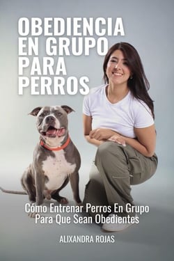 Obediencia En Grupo Para Perros: Cómo Entrenar Perros En Grupo Para Que Sean Obedientes
