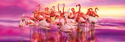 Clementoni Panorama 1000 pièces - Flamingo Dance