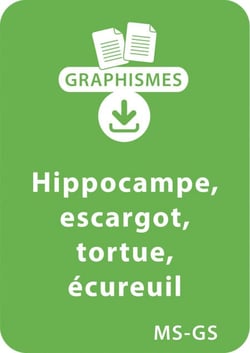 Graphismes et animaux - MS-GS : Hippocampe, escargot, tortue, écureuil - Un lot de 23 fiches à télécharger