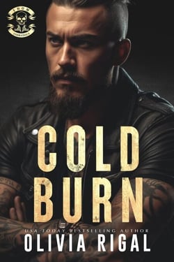 Cold Burn - Iron Tornadoes MC Romance, #2