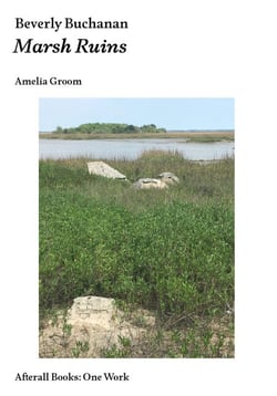 Beverly Buchanan - Marsh Ruins