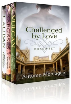 Challenged by Love: E-Boxed Set - Challenged by Love