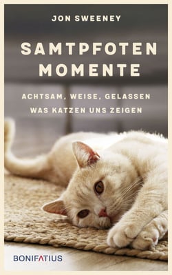 Samtpfotenmomente - Achtsam, weise, gelassen — Was Katzen uns zeigen