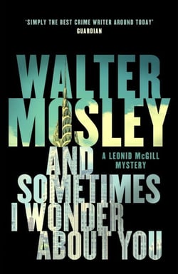 And Sometimes I Wonder About You - Leonid McGill 5