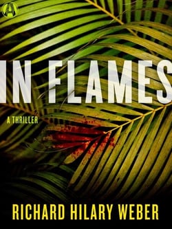 In Flames - A Thriller